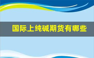 国际上纯碱期货有哪些行情(国际纯碱期货最新行情)_https://www.wanyuyiyao.com_深交所_第1张