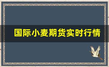 国际小麦期货实时行情查询(国际小麦价格最新行情)_https://www.jianghaiboli.com_期货_第1张