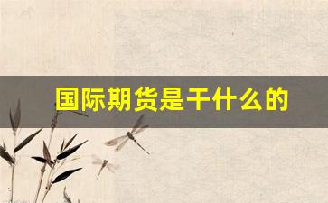 国际期货是干什么的(国际期货直播)_https://www.wanyuyiyao.com_深交所_第1张