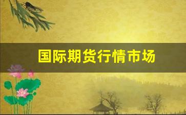 国际期货行情市场(国际期货行情交易系统)_https://www.haiwangdasha.com_北交所_第1张