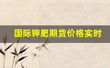 国际钾肥期货价格实时行情(国际钾肥价格走势图)_https://www.wanyuyiyao.com_创业板_第1张