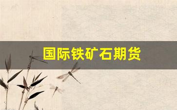国际铁矿石期货(国际铁矿石期货代码)_https://www.hangfeite.com_科创板_第1张