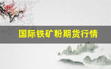 国际铁矿粉期货行情(铁矿粉国际价格)_https://www.jianghaiboli.com_恒指期货_第1张