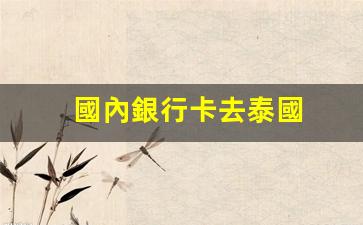 國內銀行卡去泰國(泰國銀行卡在中國取現(xiàn)手續(xù)費多少)