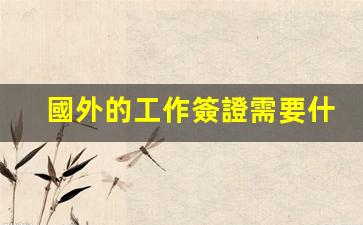 國外的工作簽證需要什么條件(辦理國外工作簽證要多少費用)
