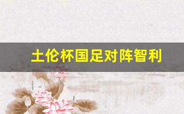 土伦杯历届冠军球队-土伦杯国足对阵智利