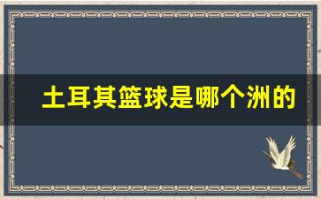 土耳其篮球是哪个洲的-土耳其篮球怎么样