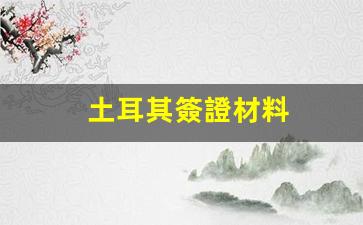土耳其簽證材料(土耳其簽證費用多少)