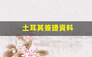 土耳其簽證辦理指南及費(fèi)用一覽