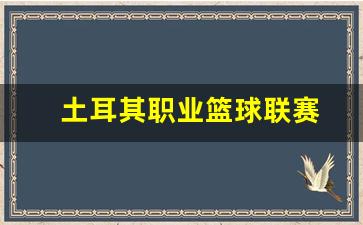 土耳其篮球赛排名-土耳其职业篮球联赛