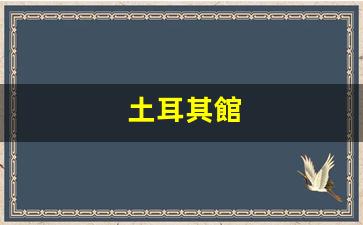 土耳其館(土耳其館藏元青花圖片大全)