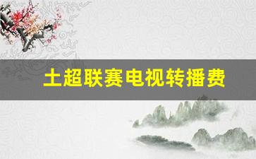 土超联赛录像-土超联赛电视转播费