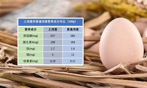 土鸡蛋和洋鸡蛋的营养一样吗_土鸡蛋跟洋鸡蛋营养价值一样吗