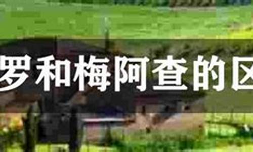 圣西罗梅阿查区别_梅阿查和圣西罗是一个球场