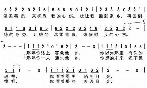 在他乡水木年华歌词打印_在他乡 水木年华吉他谱