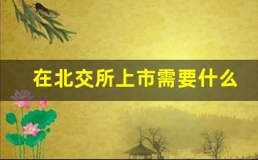 在北交所上市需要什么条件(北交所上市挂牌流程)_https://www.wanyuyiyao.com_深交所_第1张