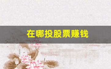 在哪投股票赚钱(投股票能赚钱吗)_https://www.wanyuyiyao.com_上交所_第1张