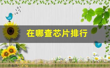 在哪查芯片排行(查芯片参数的网站)_https://www.jnskb.com_装修流程_第1张