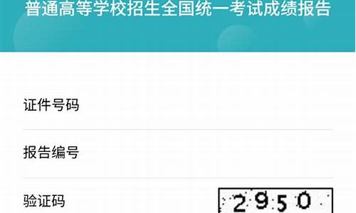 大学生在哪查高考成绩,在大学如何查高考成绩