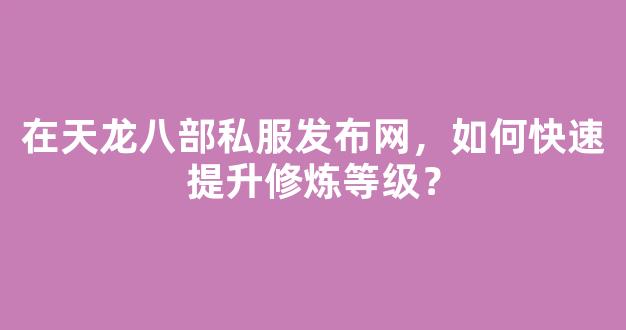 在天龙八部私服发布网，如何快速提升修炼等级？