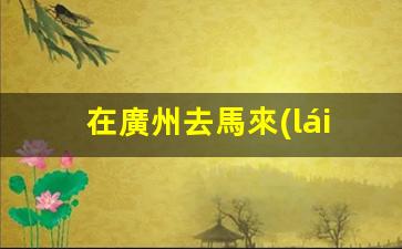 在廣州去馬來(lái)西亞簽證(去馬來(lái)西亞怎么簽證)