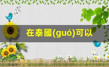泰國(guó)最佳ATM取現(xiàn)銀行卡，泰國(guó)境內(nèi)提款攻略及首選銀行推薦