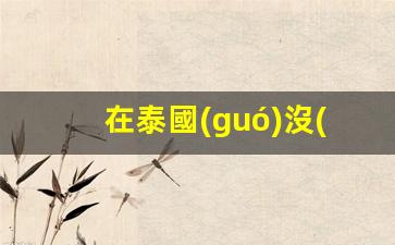 在泰國(guó)無(wú)護(hù)照者拘留時(shí)長(zhǎng)揭秘，詳細(xì)解讀滯留期限與法律后果