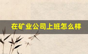 在矿业公司上班怎么样(矿业公司有什么职位)_https://www.wanyuyiyao.com_上交所_第1张