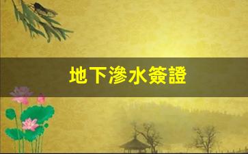 地下滲水簽證(地下室滲水原因)