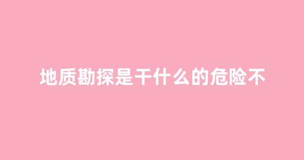 地质勘探是干什么的危险不(地质勘探主要是干什么的)_https://www.eamstsz.com_上交所_第1张