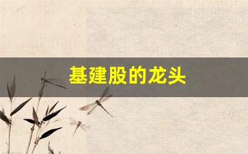 基建股的龙头(基建股龙头哪个好)_https://www.jumanxin.com_创业板_第1张