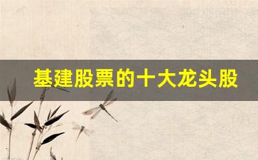 基建股票的十大龙头股票有哪些(基建股票的十大龙头股票有哪些名单)_https://www.syklpowerbike.com_创业板_第1张