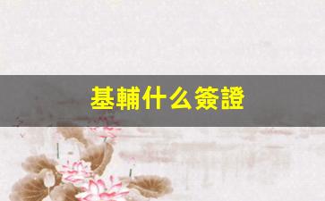 基輔什么簽證(基輔ani)