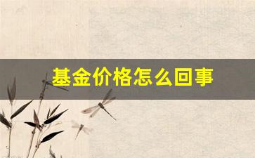 基金价格怎么回事_基金价格上涨和下跌的原因