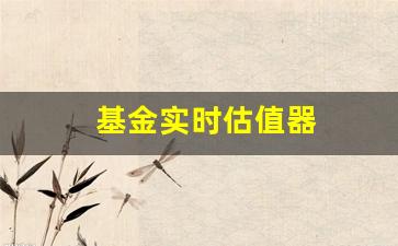 基金实时估值器(基金实时涨跌哪里看)_https://www.heiljjianzu.com_北交所_第1张