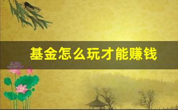 基金怎么玩才能赚钱(短期基金怎么玩才能赚钱)_https://www.jianghaiboli.com_恒指期货_第1张