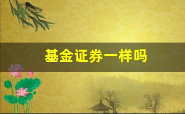 基金证券一样吗(基金和证券是一样的吗)_https://www.taocizhiliang.com_装修公司_第1张