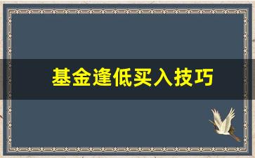 基金逢低买入技巧(基金逢低买入技巧是什么)_https://www.qgjzrcxxzxpt.com_郑商所_第1张