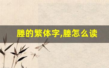 塍的繁体字,塍怎么读,塍的意思,塍的拼音-第1张图片-我的生活随想