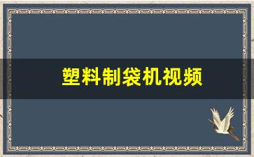 塑料制袋机视频(塑料制袋机设备厂家)_https://www.wanyuyiyao.com_科创板_第1张