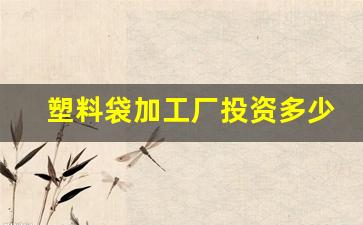 塑料袋加工厂投资多少(塑料袋加工工厂)_https://www.eamstsz.com_深交所_第1张
