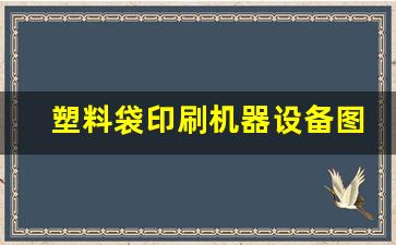 塑料袋印刷机器设备图片(塑料袋印刷机器设备厂家)_https://www.eamstsz.com_深交所_第1张