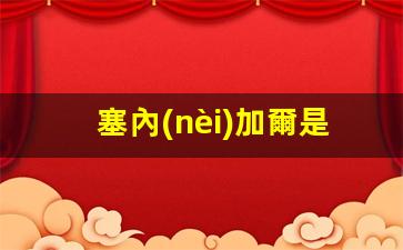 探索非洲西部奧秘，揭秘塞內(nèi)加爾——非洲國(guó)家版圖中的璀璨明珠