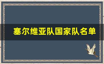塞尔维亚队国家队名单-塞尔维亚队国家队名单公布