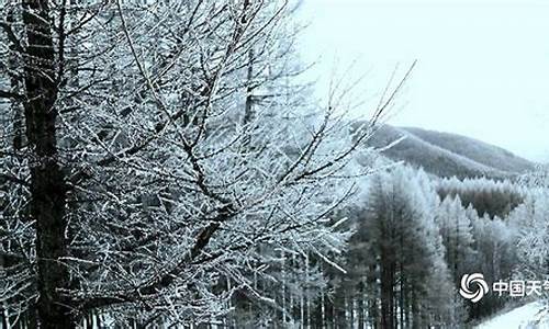 塞罕坝天气_塞罕坝天气预报