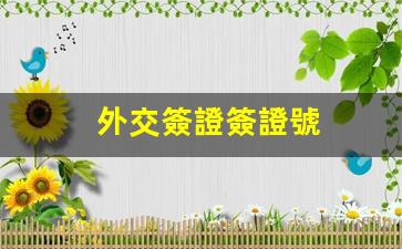 外交簽證簽證號(外交簽證是什么意思)