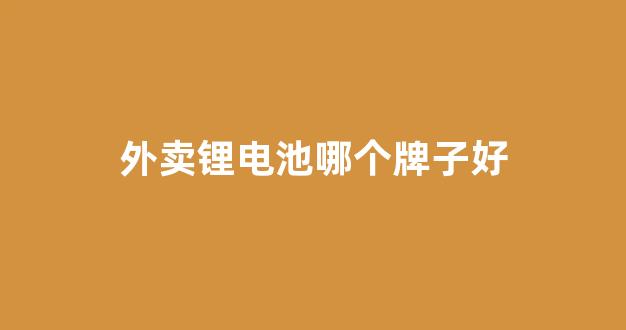 外卖锂电池哪个牌子好(外卖锂电池哪个牌子比较好)_https://www.jnskb.com_设计报价_第1张