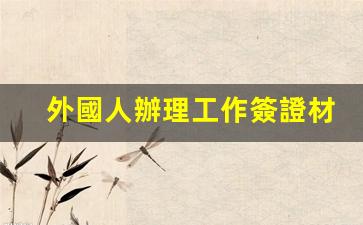 外國人辦理工作簽證材料(外國人員辦理工作簽證)