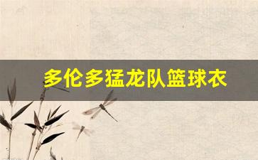 多伦多猛龙队篮球衣-多伦多猛龙 队徽