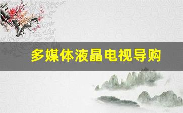 多媒体液晶电视导购-电视多媒体是什么意思